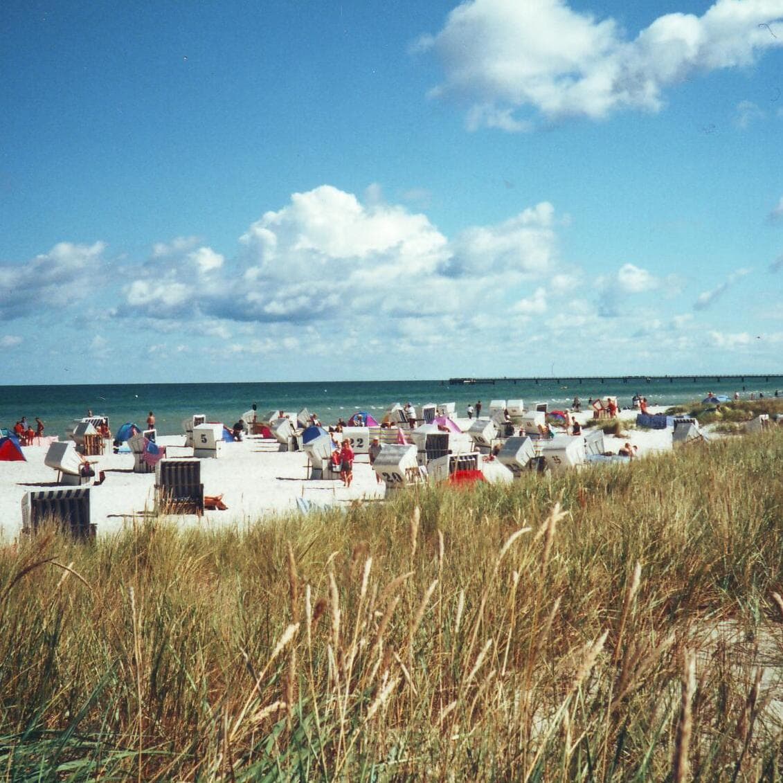 Strand von Prerow - pandi / pixelio.de