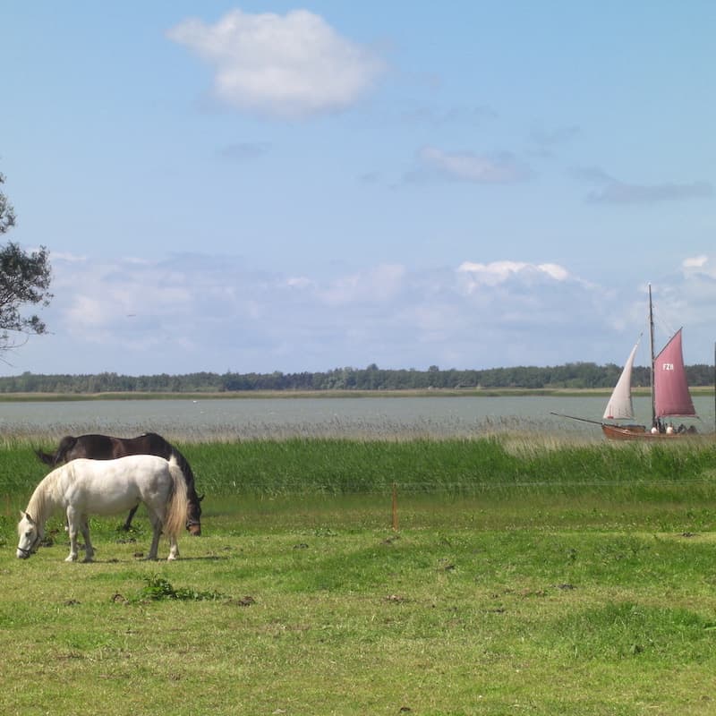 Idylle am Bodden - Uta Thien / pixelio.de